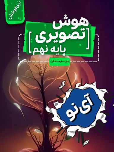 هوش تصویری تیزهوشان نهم 