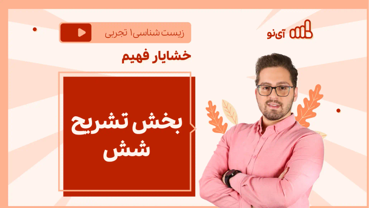 نکته و تست بخش تشریح شش‌