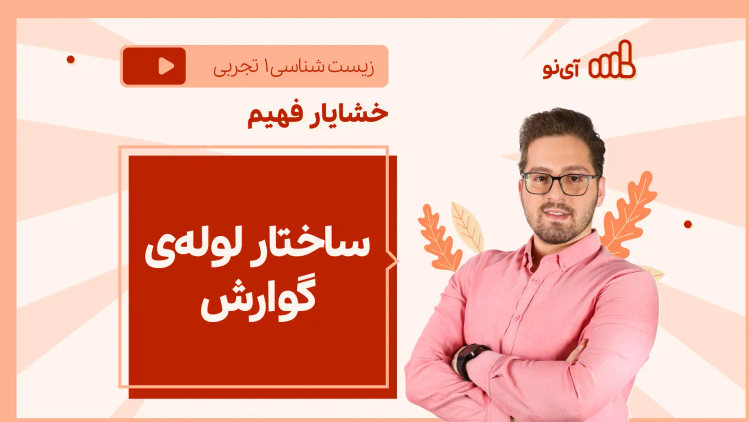 نکته و تست ساختار لوله‌ی گوارش