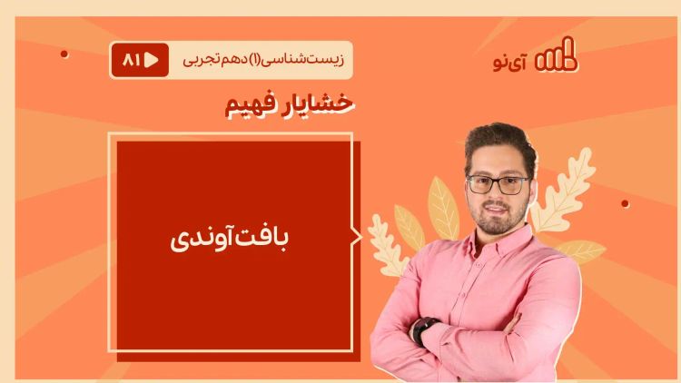 بافت آوندی