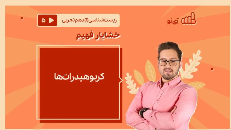 کربوهیدرات‌ها