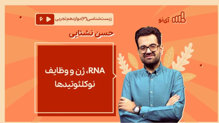 RNA،ژن و وظایف نوکلئوتیدها 